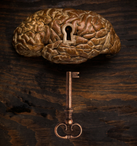 Modell av en hjärna med ett nyckelhål i. Under ligger en stor nyckel i metall.
